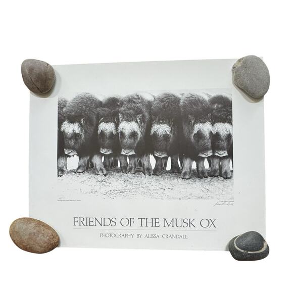 VTG Friends of the Musk Ox Alissa Crandall Poster Artist Signed 1988 Mekoryuk - Picture 1 of 9